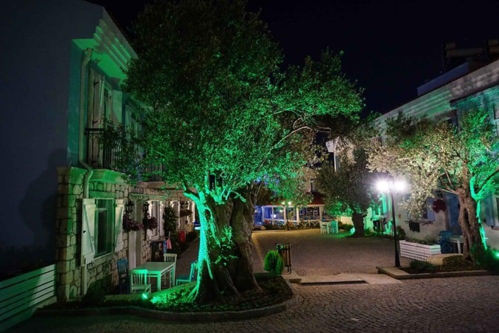 Zeytin Arası Taş Evler — 7