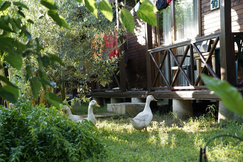 Serenity Bungalow — 10