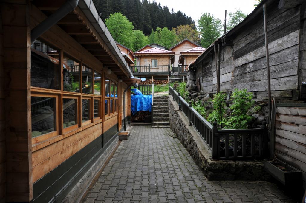 Pilita Bungalov — 10