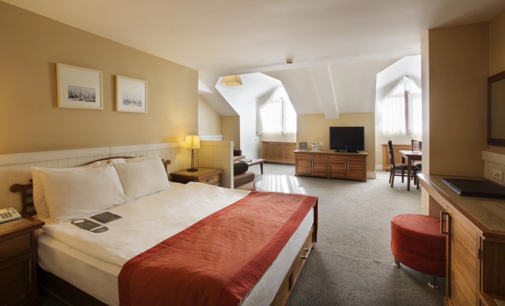 Dedeman Ski Lodge Otel — 5