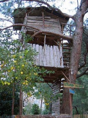 Bayrams Tree Houses — 10