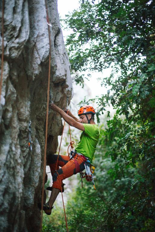 Kadir's Tree Houses — 10