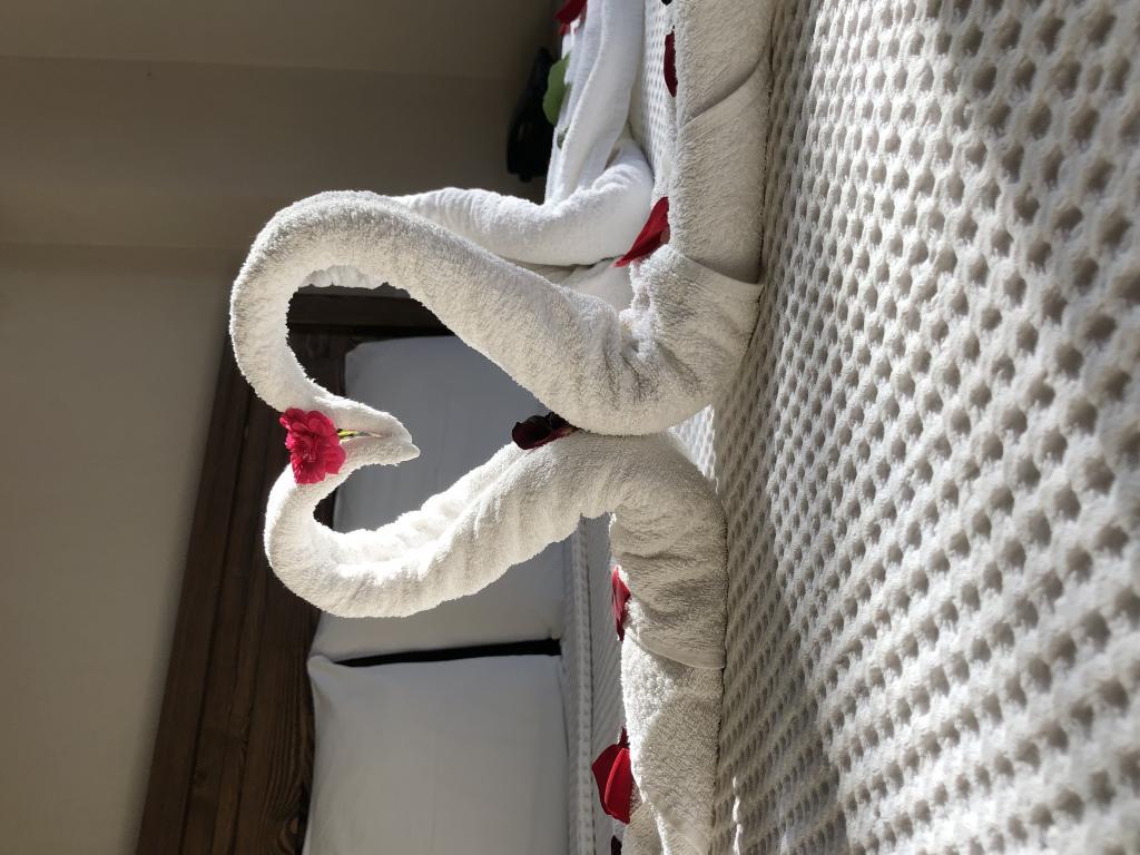 Nehir Suit Otel — 10
