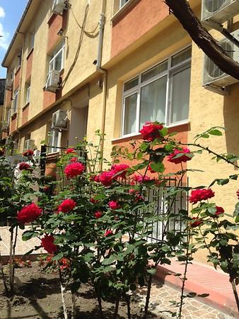 Yılmaz Apart İstanbul — 3