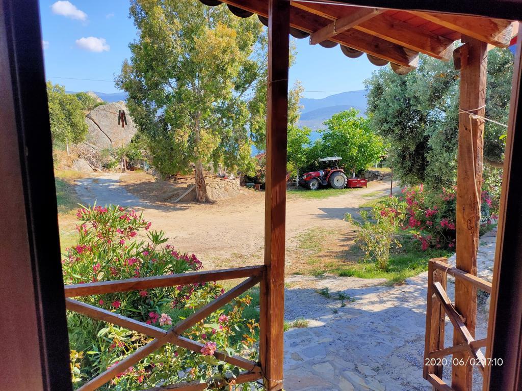 Selenes Pansiyon Bafa — 10