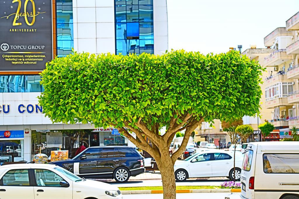 Durkaya Otel — 3