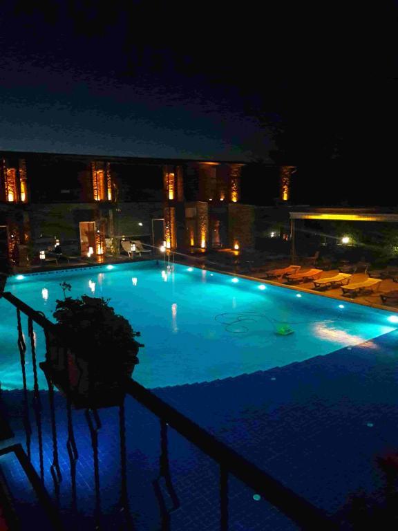 Green House Garden Park Hotel — 5