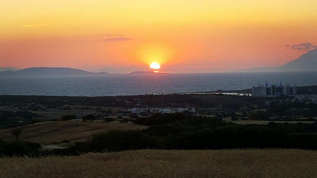 Mavi Pansiyon & Restaurant — 8