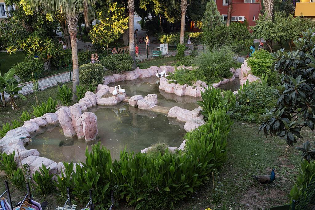 Armas Green Fuğla Beach — 3