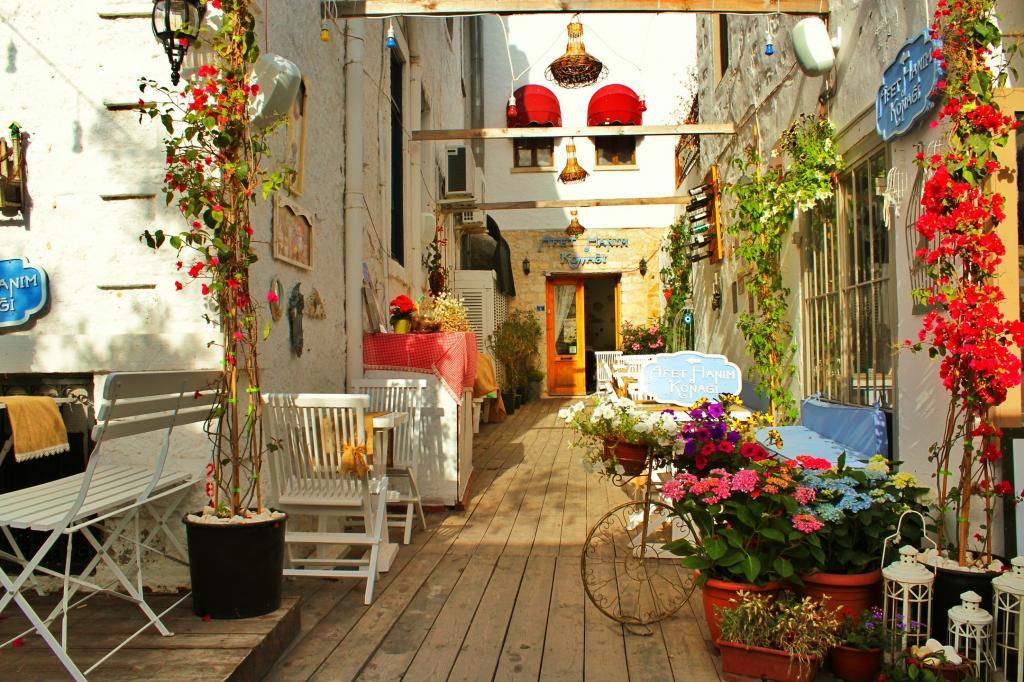 Afet Hanım Konağı — 2