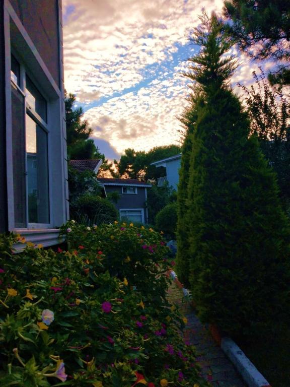 Shila Dört Mevsim Tatil Köyü — 3