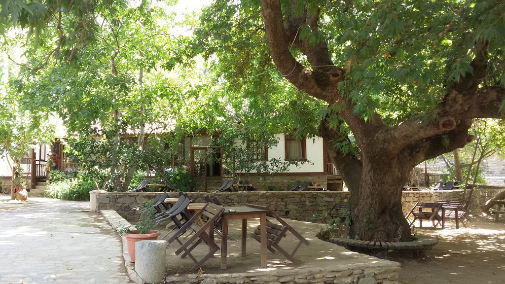 Birgi Çınaraltı Pansiyon — 5
