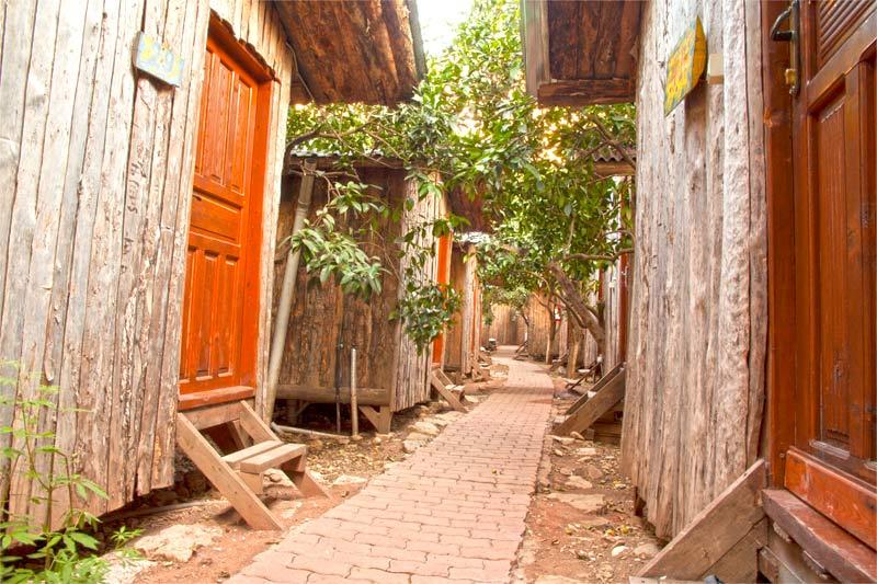 Bayrams Tree Houses — 5