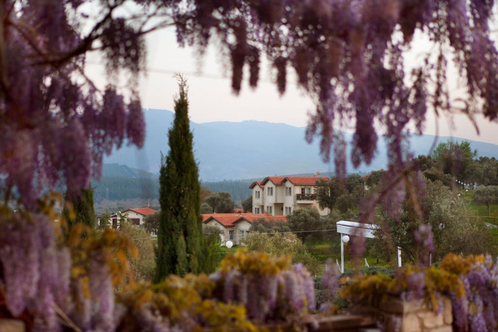 Vinifera Hotel Yedi Bilgeler Vineyards — 4