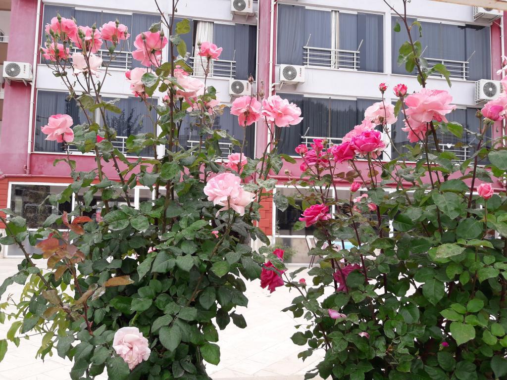 Balşen Hotel — 4
