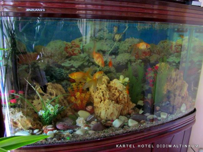 Kartel Hotel Didim — 9