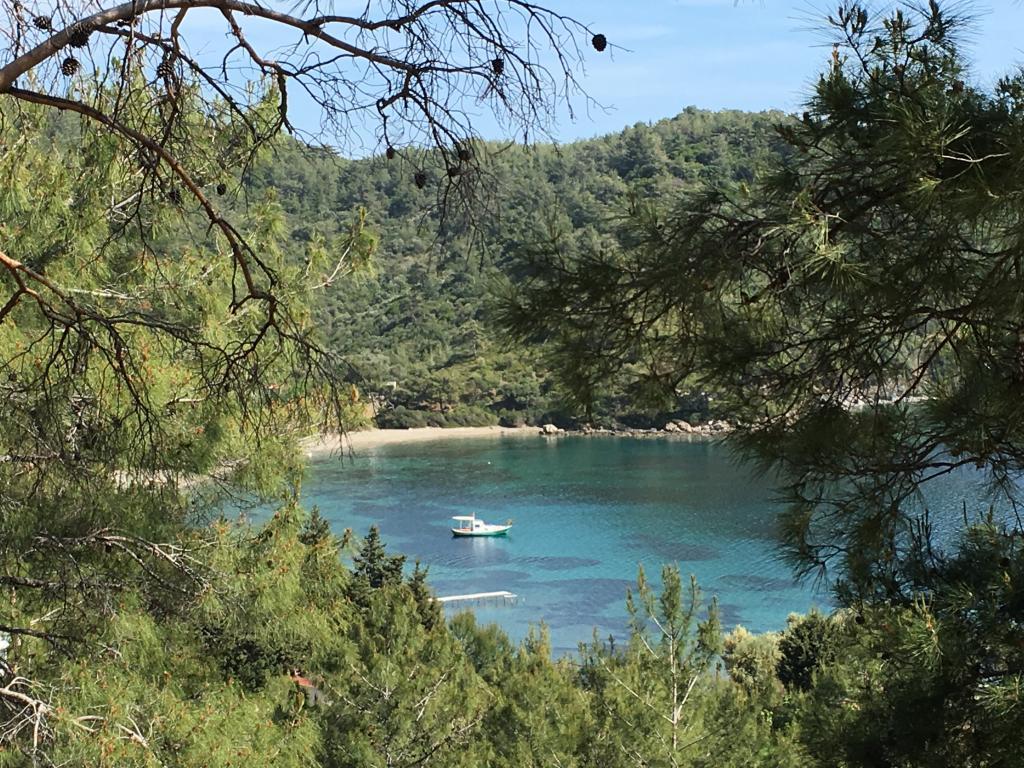 Yakamoz Pansiyon Mazı — 2