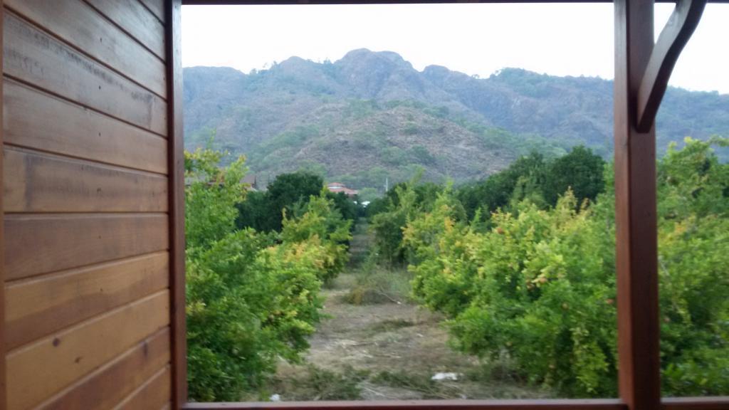 Granate Garden — 7