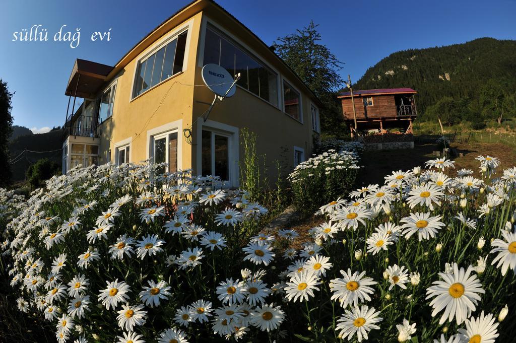 Süllü Dağ Evi — 3