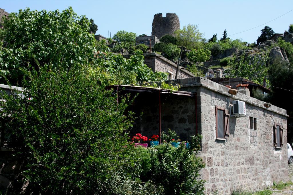 Dut Ağacı Pansiyon — 1