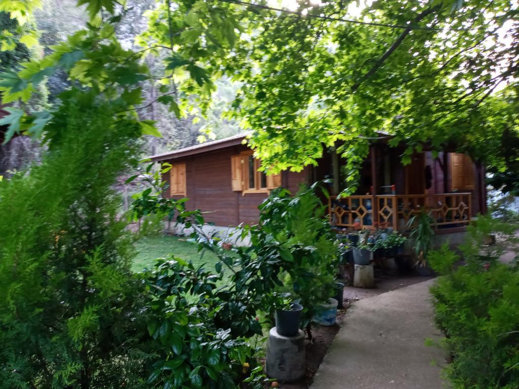 Maji Village — 10
