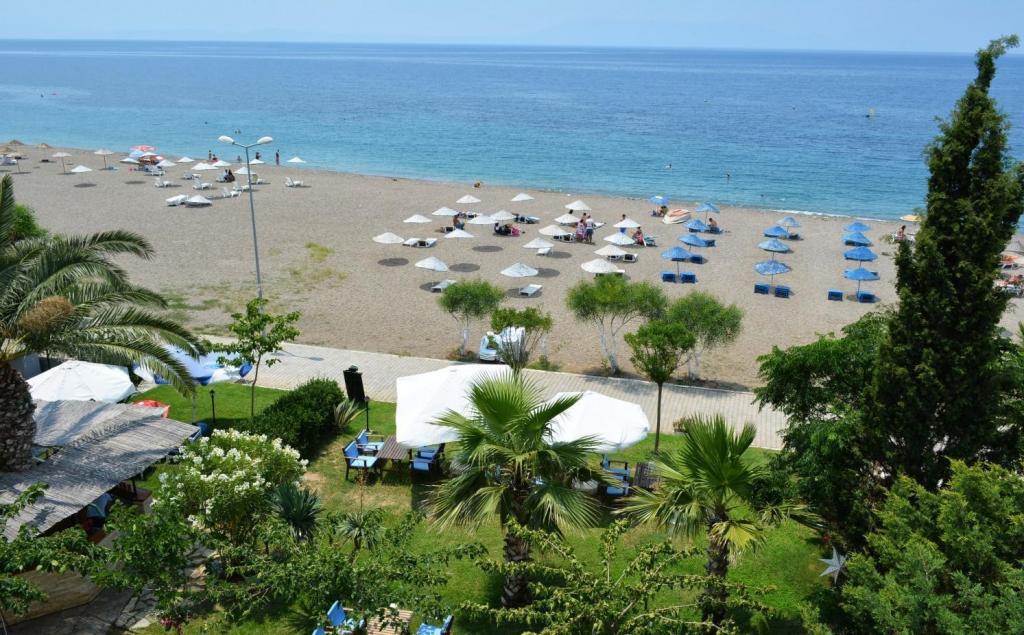 Palmiye Otel Özdere