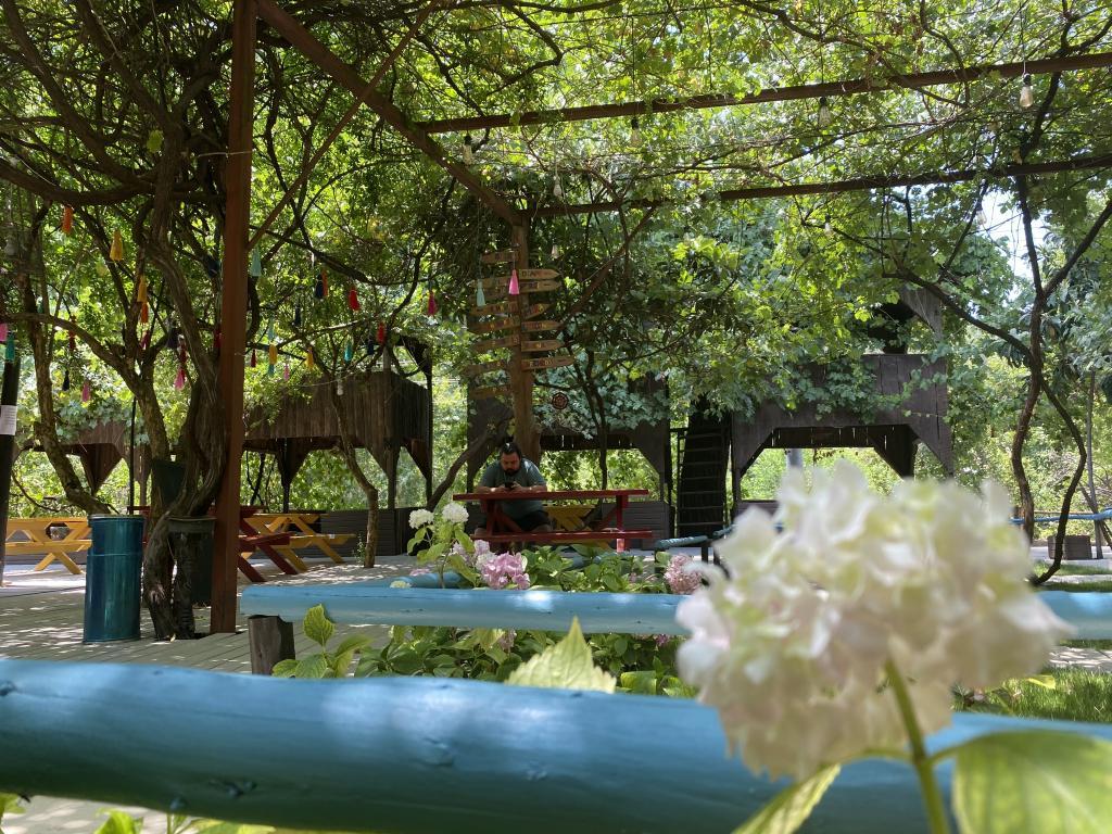 Olympos Çamlık Pansiyon +16 — 4