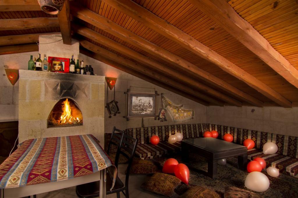 Bir Kedi Villa