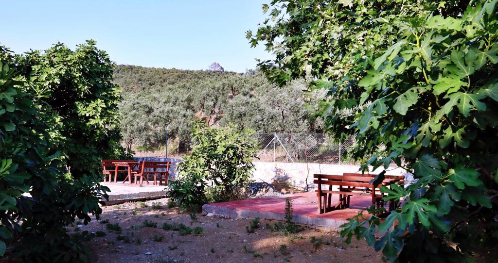 Kazdağı Kamp Zeytinli — 8