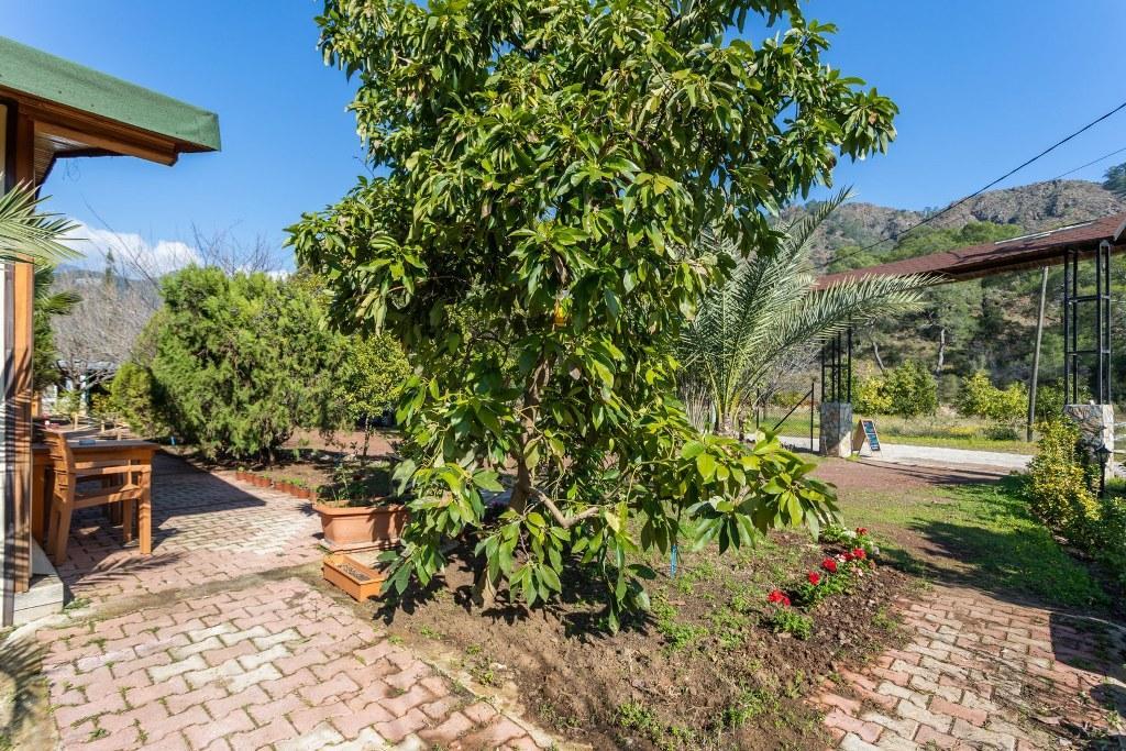 Likya Yanartaş Bungalows — 5