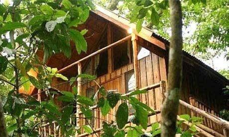 Bayrams Tree Houses — 9