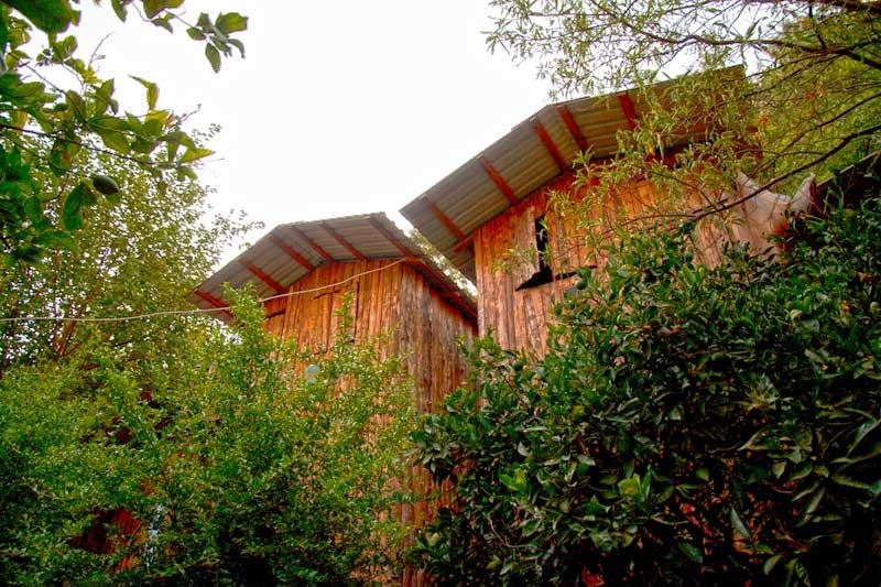 Bayrams Tree Houses — 3
