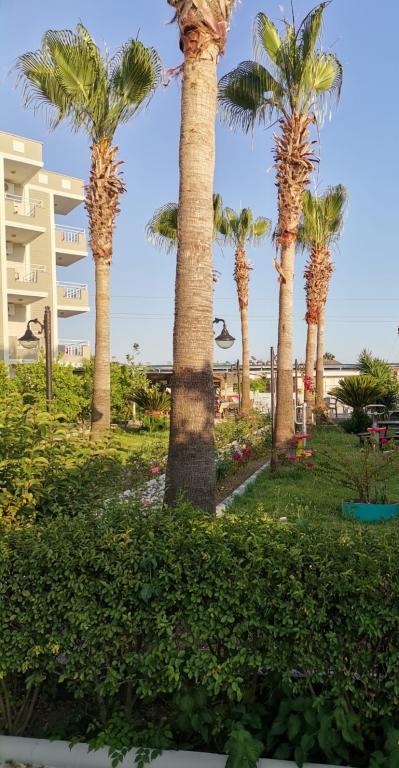 Side Özgürhan Otel — 4