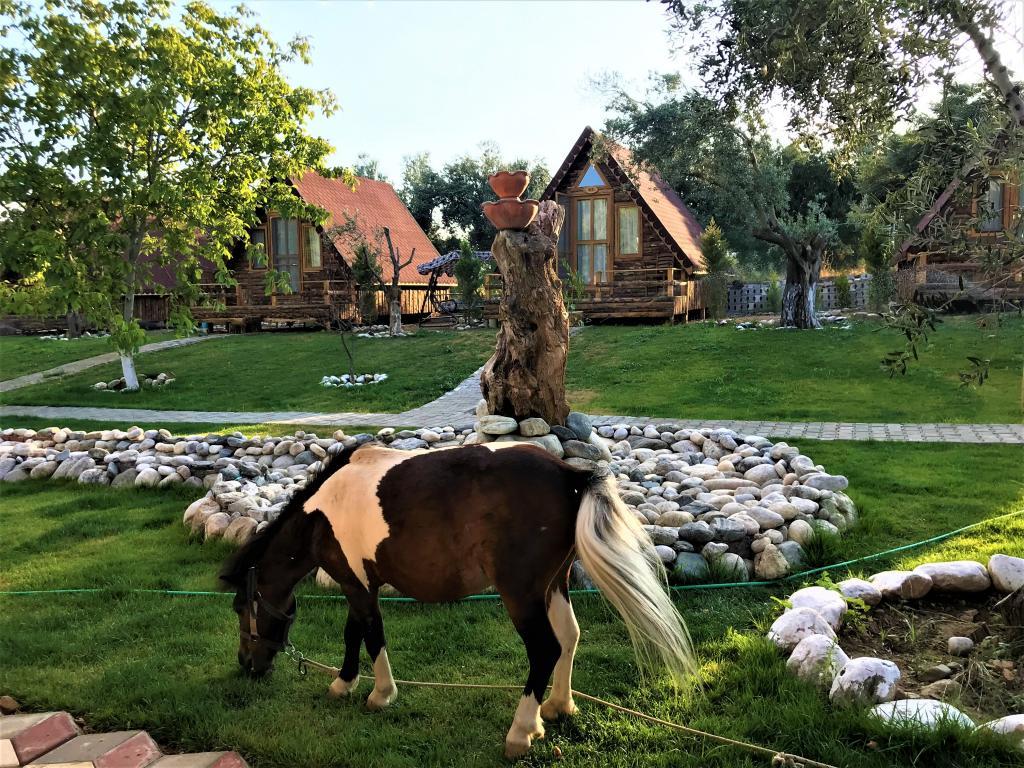 Kazdağları İda Natura Bungalow Otel — 2