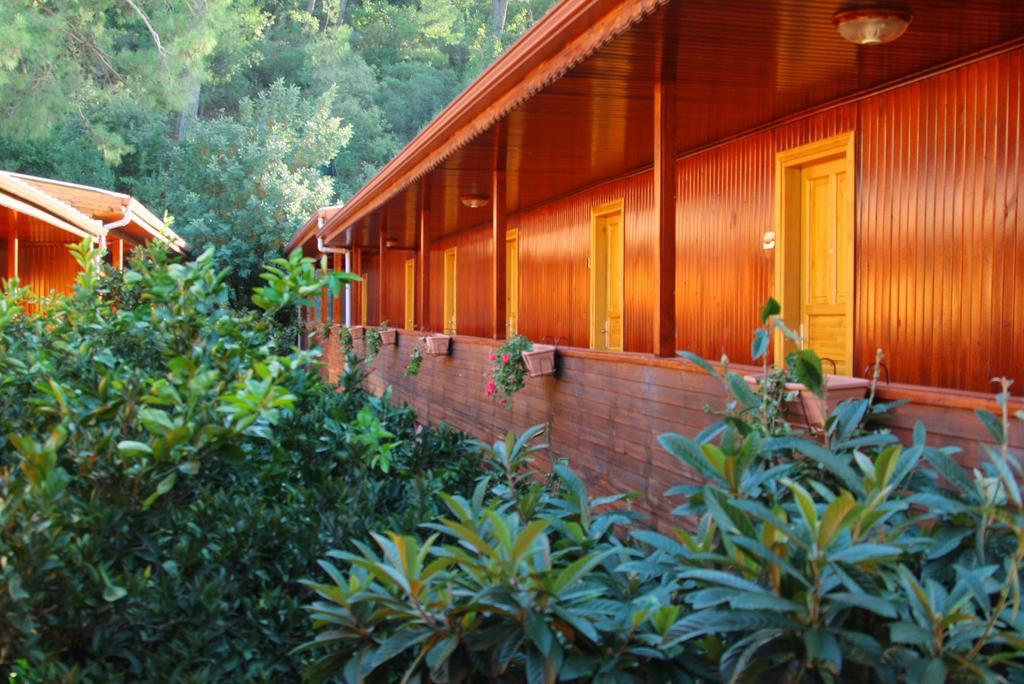 Divasa Hotel Olympos — 5