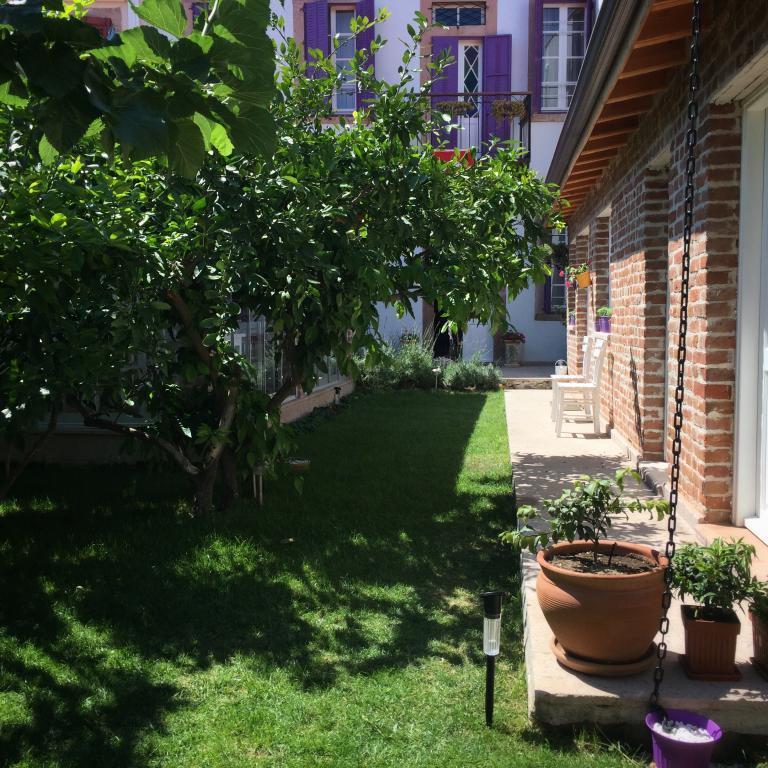 Lavanta Cunda +12 Adult Only
