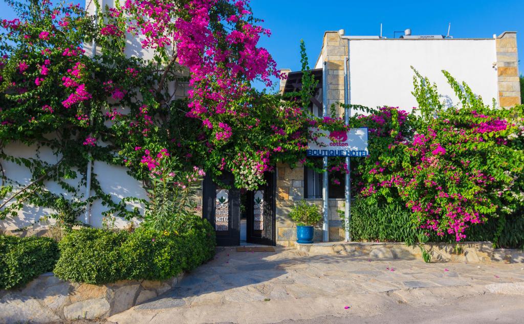Cotton Boutique Hotel