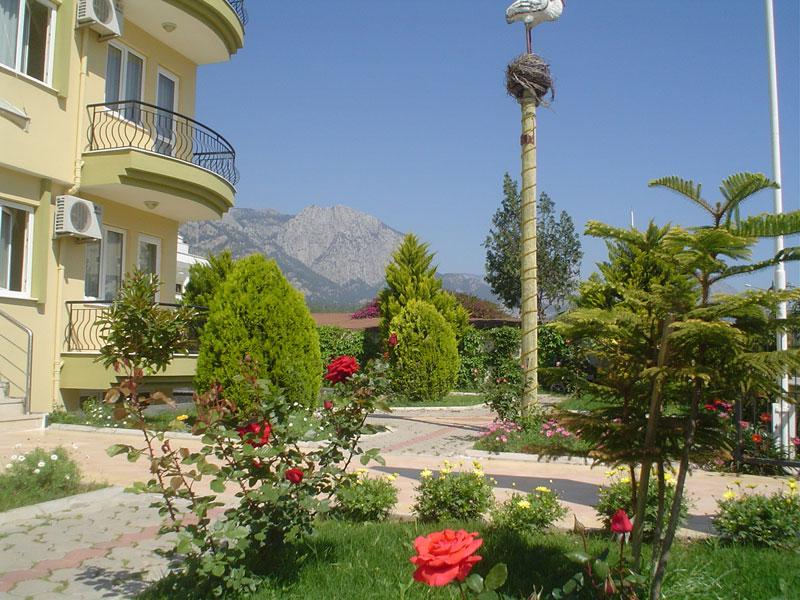 Minta Apart Otel — 5