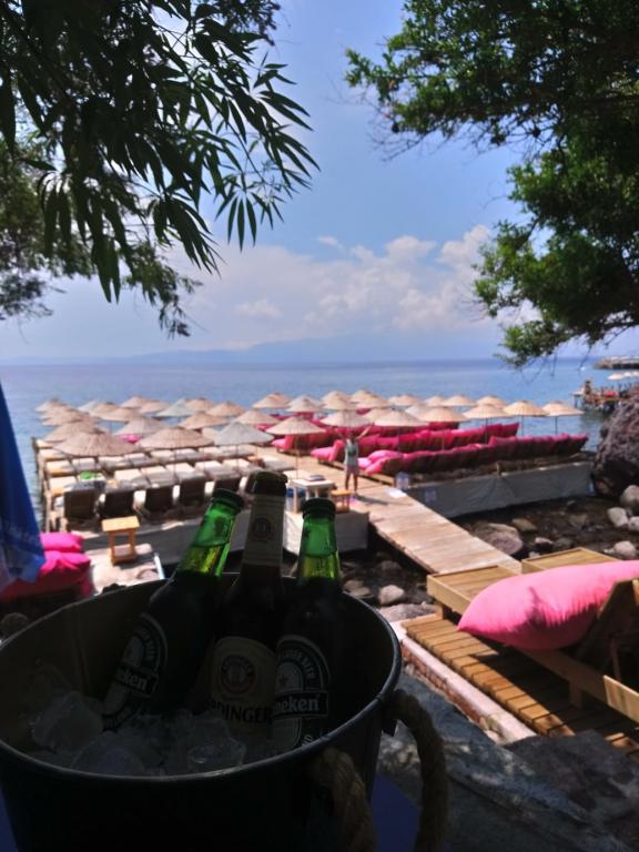 Assos Plus — 1