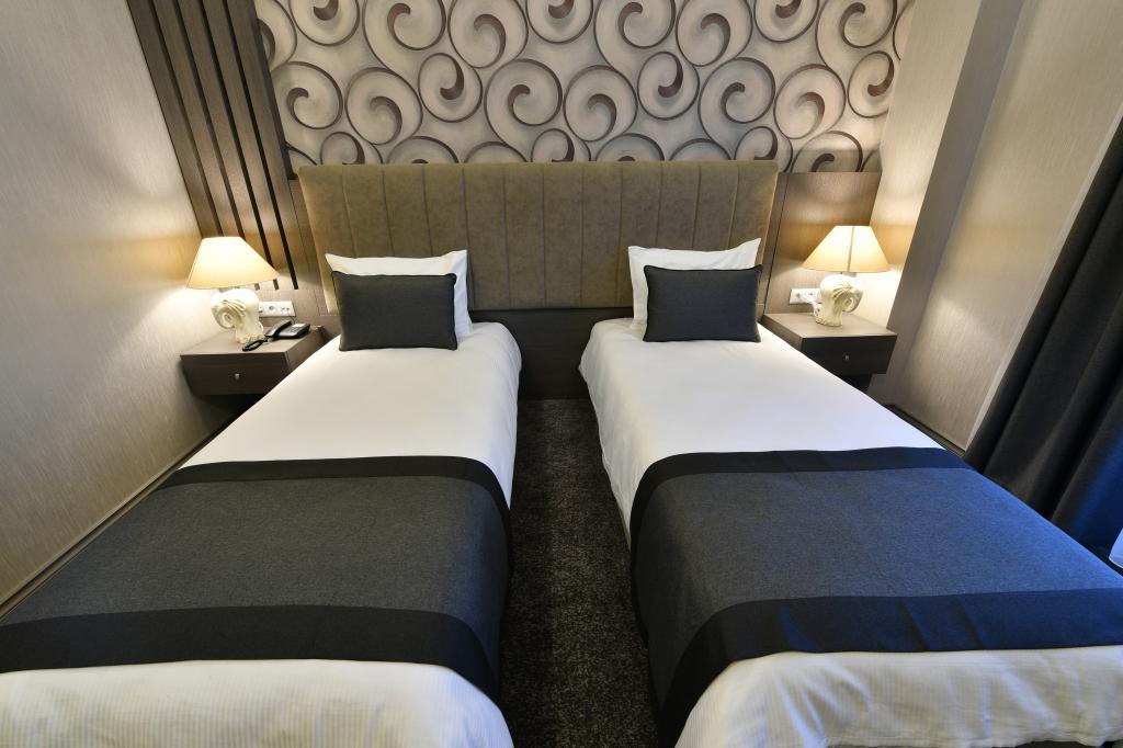 Dlux Hotel — 10