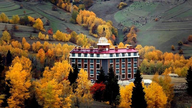 Black Forest Hotel — 2