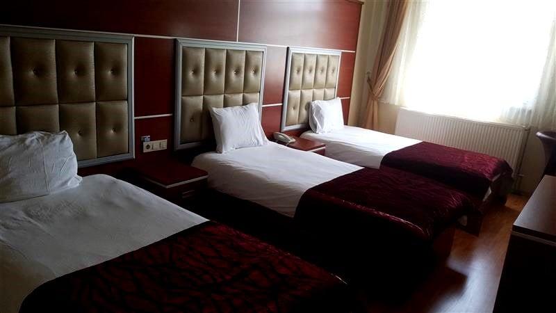 Kafkas Arı Hotel — 2