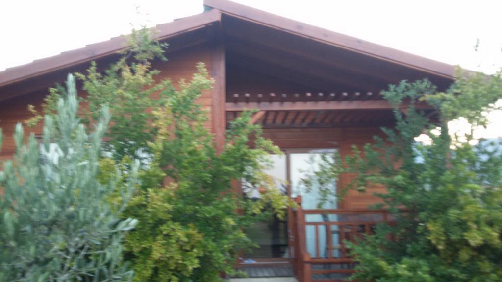 Granate Garden — 6