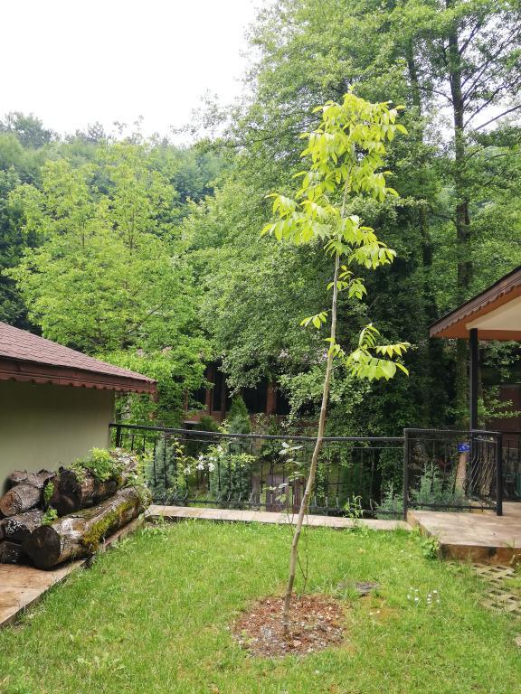 Boğaziçi Butik Otel Maşukiye — 4