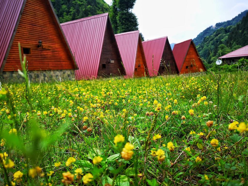 Kotit Ayder — 10