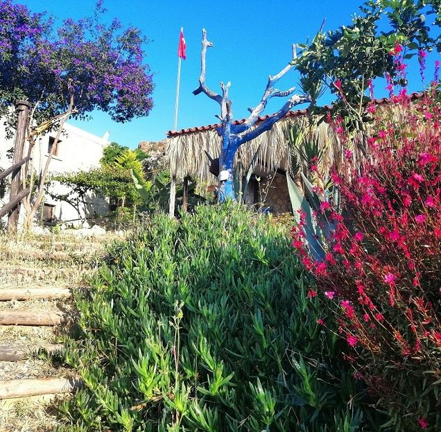 Eco Farm Boutique Otel — 5
