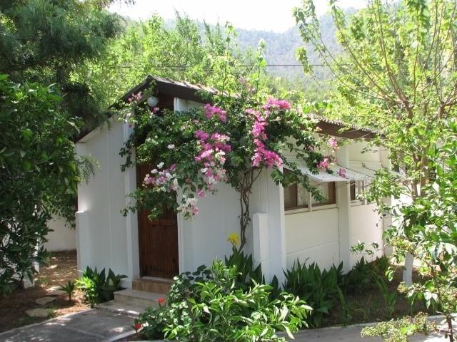 Meltem Otel Adrasan — 8