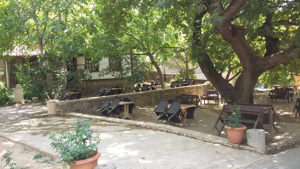 Birgi Çınaraltı Pansiyon — 3