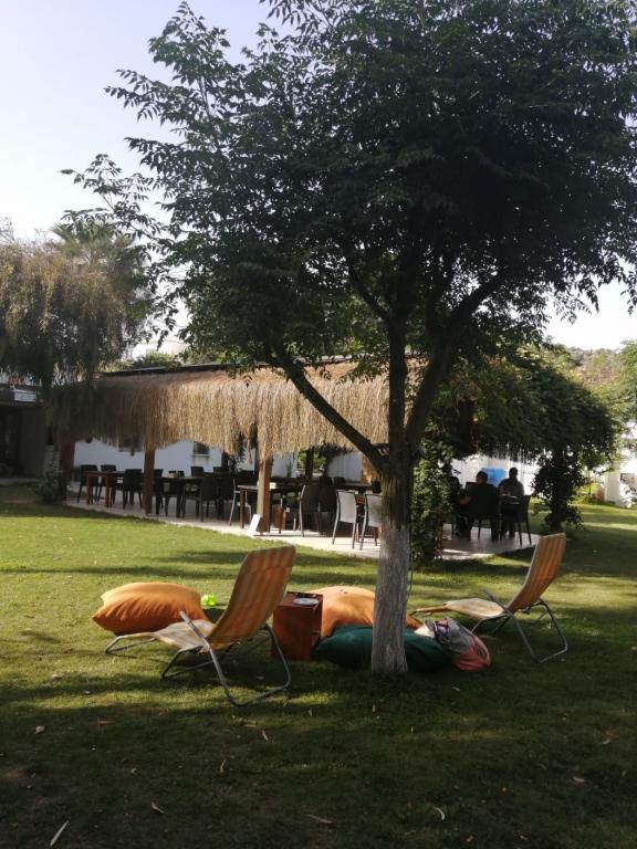 Myndos Bed & Breakfast Gümüşlük — 8