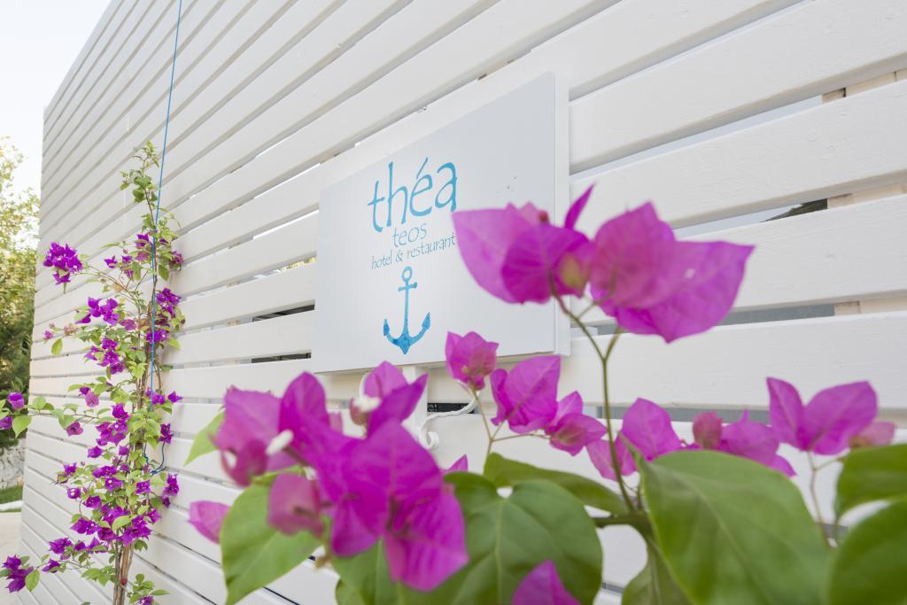 Thea Teos Butik Hotel — 10